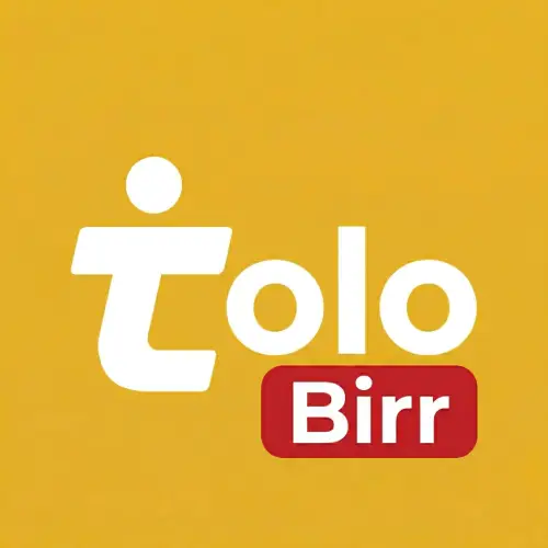 TOLOBIRR Logo
